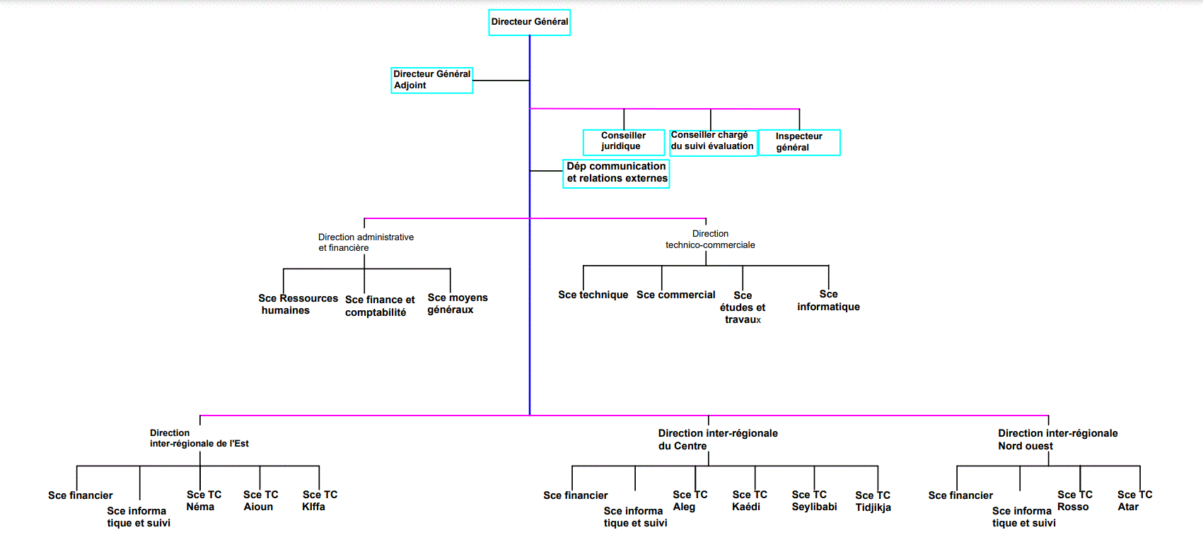 Organigramme ONSER-Model